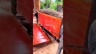 Why Red Sandalwood Is So Expensive shorts ytshorts worldkfactz [upl. by Witty]