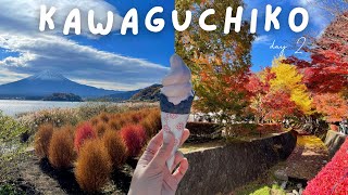 Life in Japan 🎌 The best place to experience autumn in Japan 🍂🍁  Kawaguchiko Trip day 2 [upl. by Greenland716]