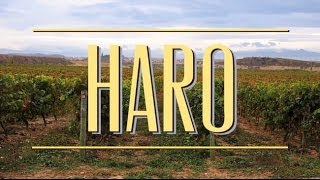 Where to Drink Wine in Haro La Rioja Spain [upl. by Marcy]