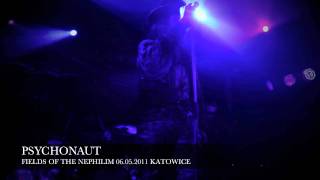 Fields of the Nephilim  Psychonaut Katowice 06052011 by PI [upl. by Hsirt]