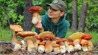 Picking and cooking Porcini mushrooms in Ukrainian forest in June Life in the village [upl. by Emia]