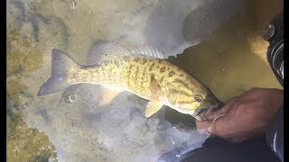 My First Video Creek Fishing for Smallmouth bass [upl. by Aynotel]