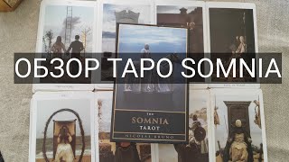 ОБЗОР ТАРО SOMNIA картытаро [upl. by Zapot]