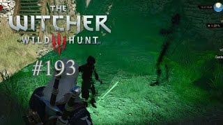 Lets Play The Witcher 3 193 Deutsch Full HD  Ausbildungsstätte der Hexer [upl. by Itisahc222]