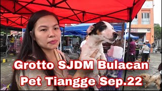 Grotto Pet Tiangge Ang Daming mga Pet Na Mga Pamigay Presyo Ngayon Sep22 [upl. by Aniarrol477]