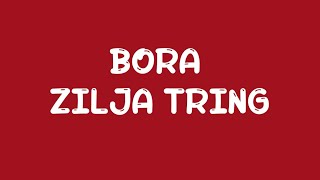 Bora Salihu quotZilja Tringquot 2024 [upl. by Bobbee799]