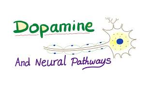 Neurotransmitters  Dopamine amp Dopaminergic Neural Pathways  Physiology amp Pharmacology [upl. by Inalem]