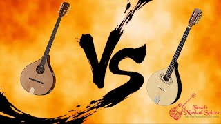 Irish Bouzouki vs Octave Mandolin [upl. by Ylac]