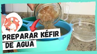 Cómo preparar KÉFIR DE AGUA Tibicos  FÁCIL y CASERO [upl. by Aikemit]