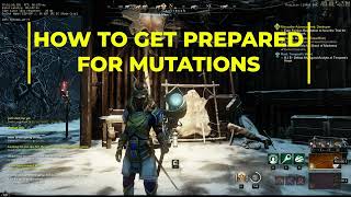 How To Get Prepared for MUTATIONS  New World ENDGAME PvE  VERY INFORMATIVE [upl. by Fredek]