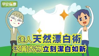 白衣队传了几次球？ 你真的算得到吗？ [upl. by Elisabet982]