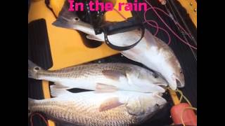 Hobie Kayak Fishing saltwater Fishing Trip Galveston Tx Marsh Flats Grass Lines Redfish [upl. by Weisbrodt401]