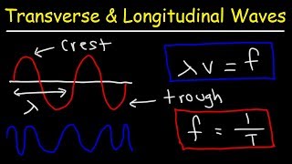 Transverse and Longitudinal Waves [upl. by Carrick]