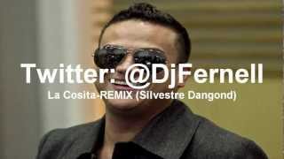 La Cosita RemixSilvestre Dangond RemixDj Fernell [upl. by Watters]