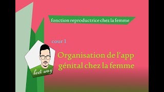 Reproduction chez la femme  cour 1  Organisation de l’appareil génital  bac tunisie [upl. by Abisia]