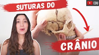 Suturas do crânio  Anatomia etc [upl. by Reg43]