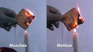 Cream Cracker Burn Test  Munchee vs Maliban [upl. by Gruver]