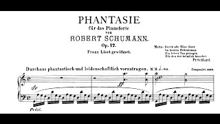 Schumann Fantasie in C Op17 Andsnes [upl. by Hannus168]