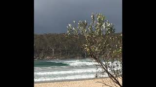 Pumping Pambula rivermouth [upl. by Pillihp]