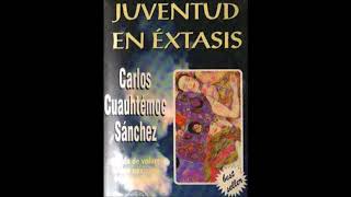 AUDIO LIBRO juventud en extasis voz latino [upl. by Atinnod996]