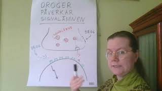 Trift Drogkunskap signalämnen del 2 åk 8 [upl. by Holms]