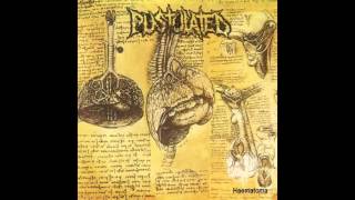 Pustulated  Haematoma 2005 Full Album Goregiastic Records [upl. by Nehtanhoj477]