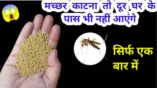 ना केमिकल ना कीटनाशक मच्छर भगाने का यह घरेलू तरीका😱kitchen tips machar bhagane ka asan tarika [upl. by Notsob568]