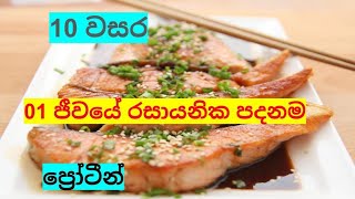 ප්‍රෝටීන් 01 ජීවයේ රසායනික පදනම nuwana [upl. by Atikat678]