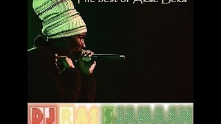 The best of Akae Beka Vaughn Benjamin Midnite by DJ Ras Sjamaan [upl. by Yekciv73]