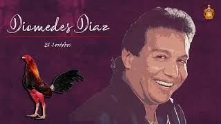 EL CORDOBES  DIOMEDES DIAZ PARRANDA [upl. by Atinihs]