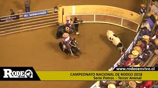 RODEO EN VIVO SERIE POTROS 2018 [upl. by Isyad360]