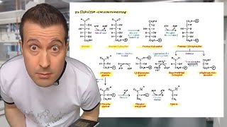 Die Glykolyse  eine erste Orientierung  Glykolyse und Gluconeogenese 521 [upl. by Lj]