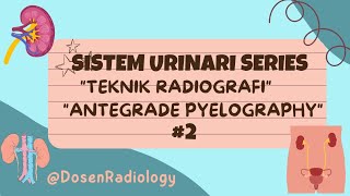 Teknik Radiografi Antegrade Pyelography APG urinary urinarysystem antegrade pyelonephritis [upl. by Hoseia]