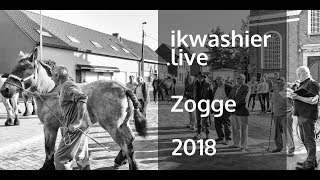 Jaarmarkt Zogge 2018 met keuring 111 Belgische trekpaarden warmbloedpaarden en pony’s [upl. by Atnahc297]