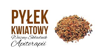 🌷Pyłek kwiatowy – ważny składnik apiterapii 🐝 [upl. by Obbard]