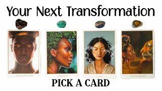 Pick A Card 💙 Your Next Transformation 🦋 [upl. by Daeriam618]