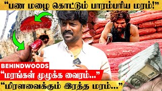 900 டன் அனுமதி செம்மரம் வளர்த்தவர்களுக்கு ஜாக்பாட்🤩 மெய்சிலிர்க்கவைக்கும் Ganesh Nursery Visit [upl. by Gaudet]