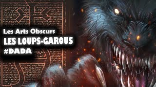 TOUT SAVOIR SUR LES LOUPSGAROUS DANS HARRY POTTER [upl. by Sonia7]