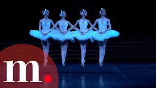 Swan Lake Tchaikovsky  Dance of the Little Swans [upl. by Macomber192]