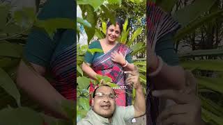 jb se tmko dekha hai sanam hindisong song love saree bollywood [upl. by Nylhtak]