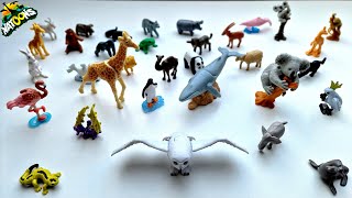 Natoons 2023  Collection of standard and Maxi animals  Kinder Surprise Natoons quotApplayduquot [upl. by Nay]