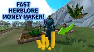 9M Gp In 5 Minutes  RuneScape 3 [upl. by Rasecoiluj988]