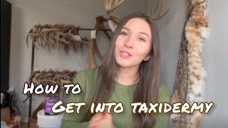 How to Get Into Taxidermy [upl. by Forster]