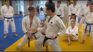 Hotton sensei Aiki Karate France 2023 [upl. by Yentruoc191]