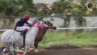 Carriles “La Ganadera”Tierra BlancaVeracruz CATRINA VS MARTUCHA VS KARMA [upl. by Jangro]