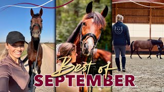 Ein Liebling zieht aus 🥺  BEST OF SEPTEMBER 2024 [upl. by Acenahs]