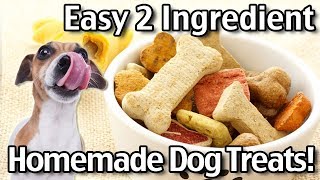 2 Ingredient Homemade Dog Treats  Natural DIY Dog Treats Recipes [upl. by Ellebyam780]