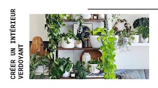 Décorer son intérieur avec des plantes [upl. by Dorian]