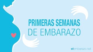 Primeras semanas de embarazo  El embarazo semana a semana [upl. by Annaillil889]