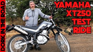 Yamaha XT250 Test Ride and First Impressions Quite Possibly The Best Dual Sport for Short Riders [upl. by Eigram]